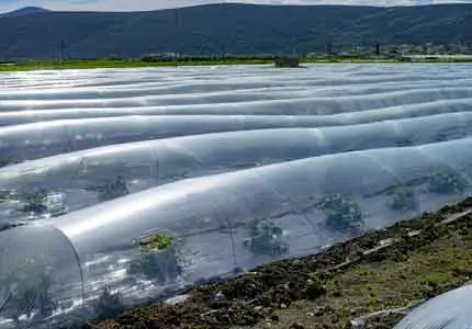 Применение полимерных стабилизаторов в сельском хозяйстве