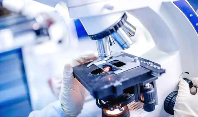 Внедрение интегрированной системы R & D