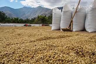 Процесс производства полимерных антиоксидантов