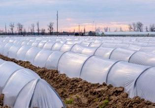 Никель Гушитель