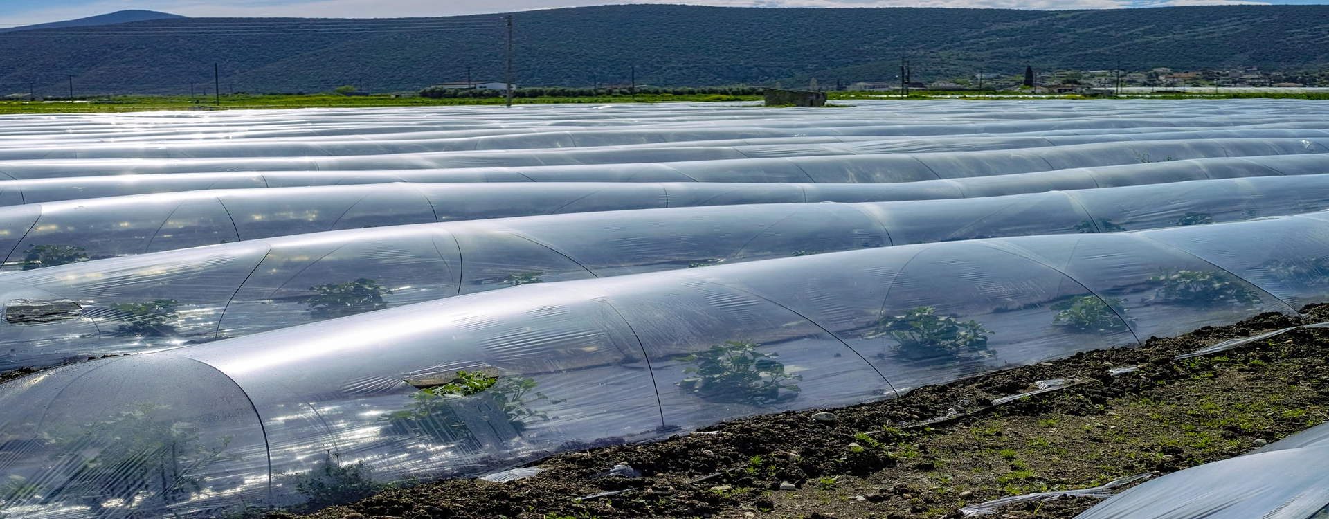 Никель Гушитель